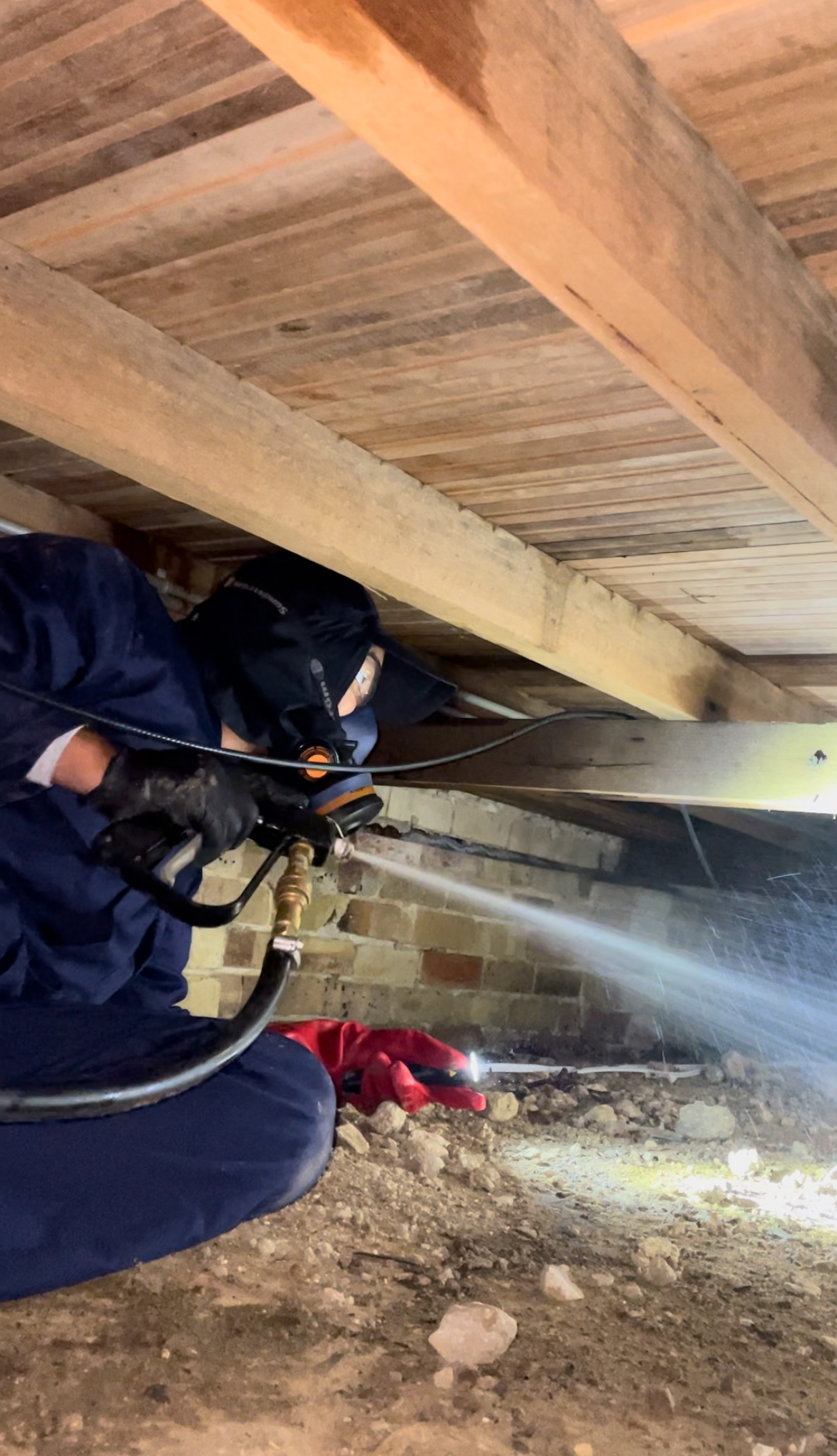 Commercial Pest services in Parramatta and Sydney
