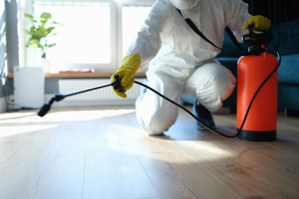 Various household pests